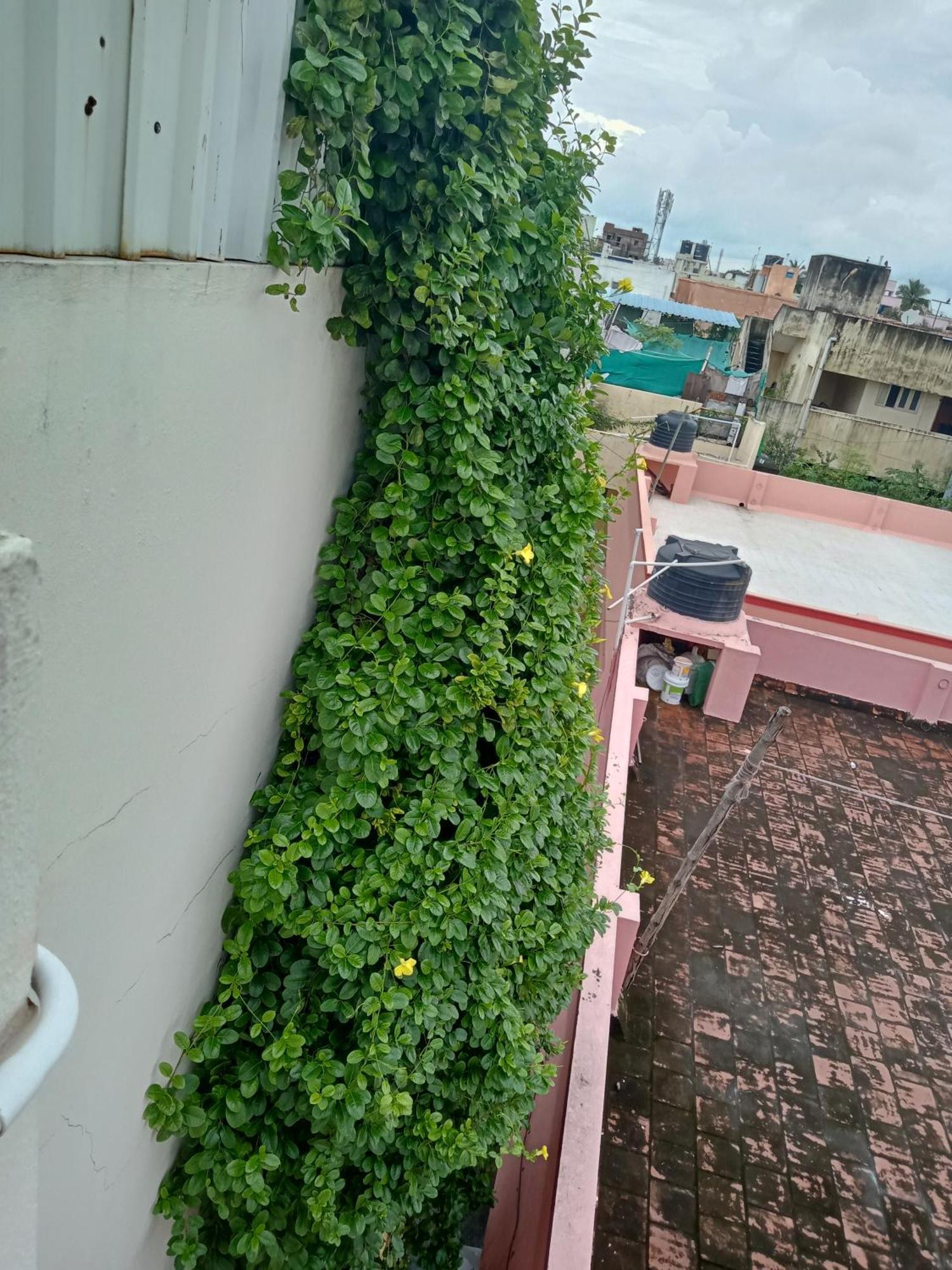 אפרטהוטל צ'נאי Allamanda Abode מראה חיצוני תמונה